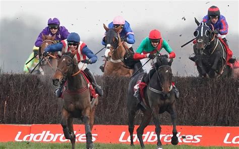 online ladbrokes trophy betting sites|Coral Gold Cup: Past Winners, Stats & History.
